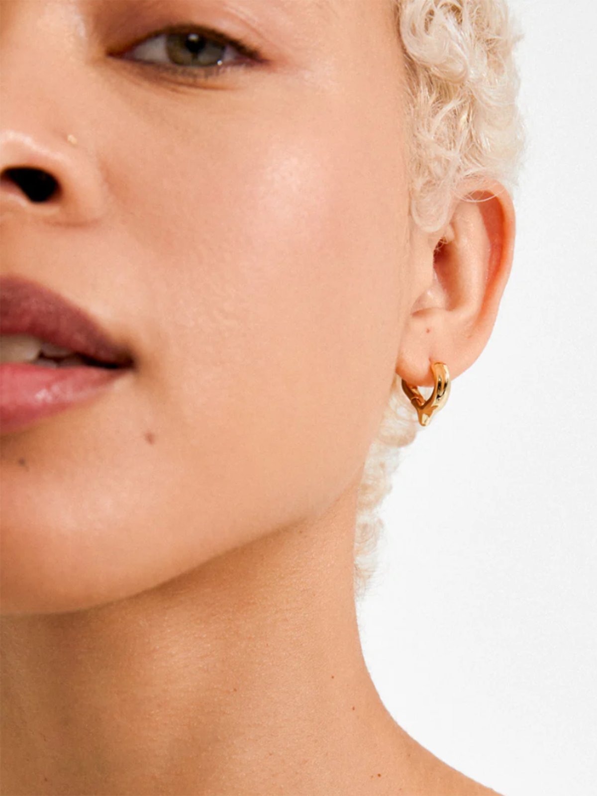 Pilgrim Nova Hoop Øredobber Gold