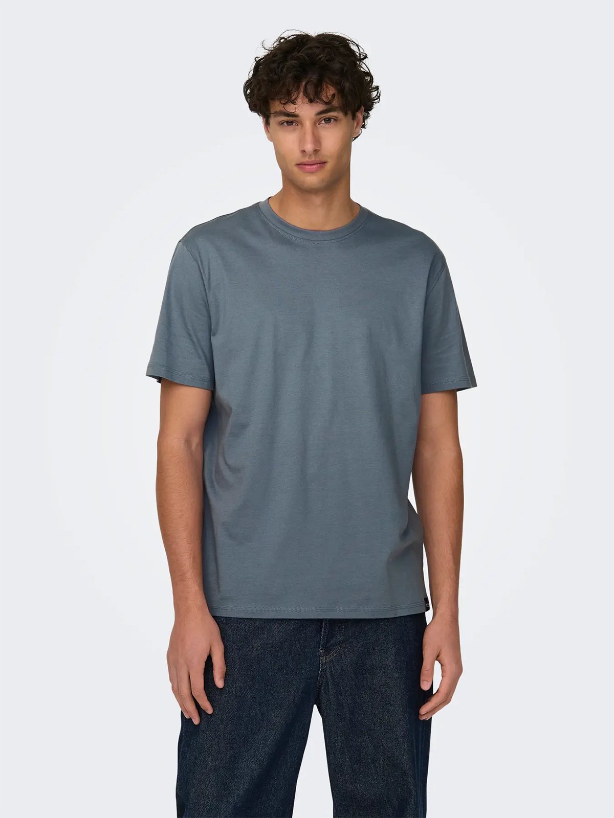Only & Sons Max Life Short Sleeve Stitch Tee Flintstone