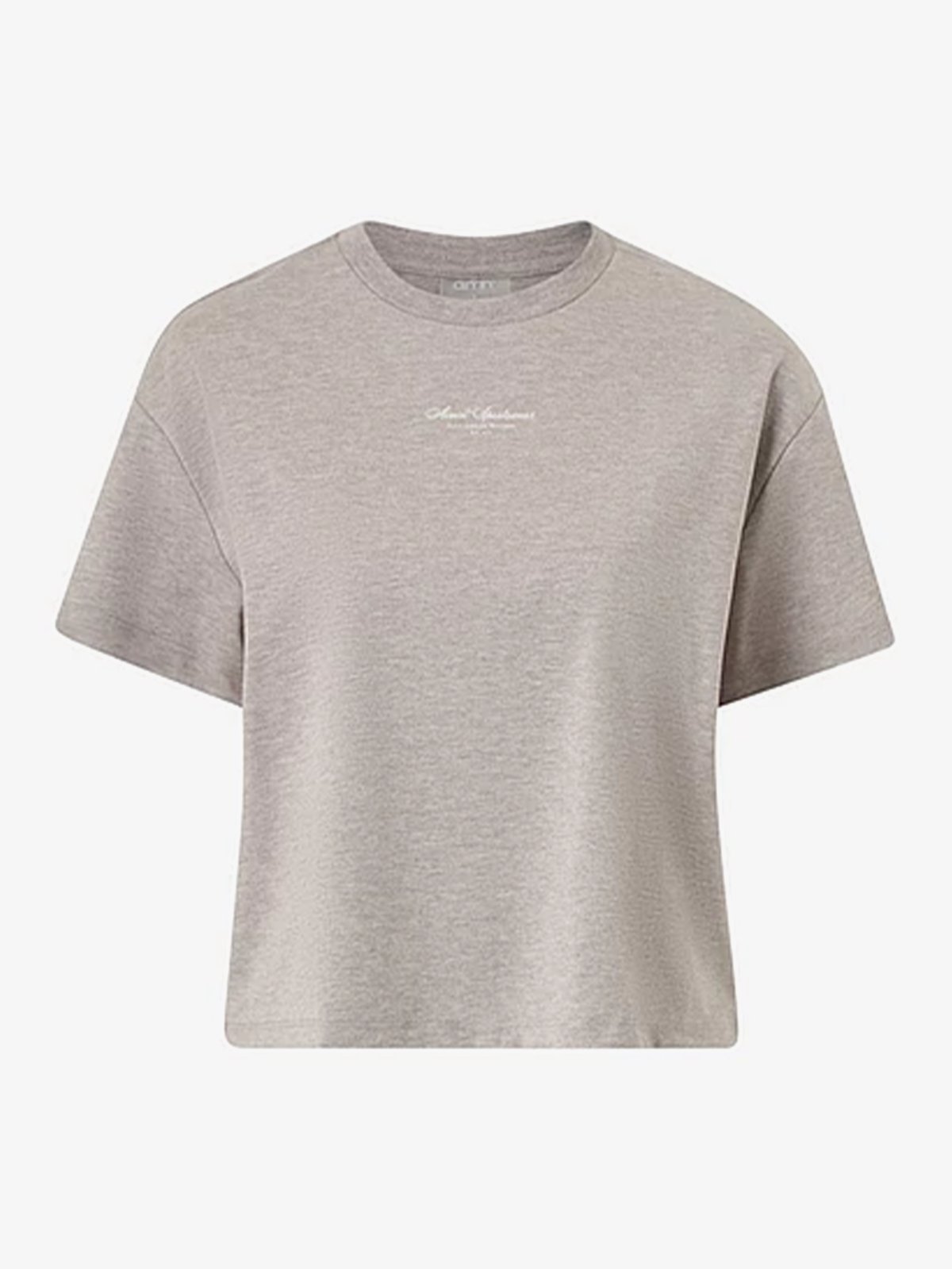 Aim'n Script Boxy T-Shirt Espresso Melange