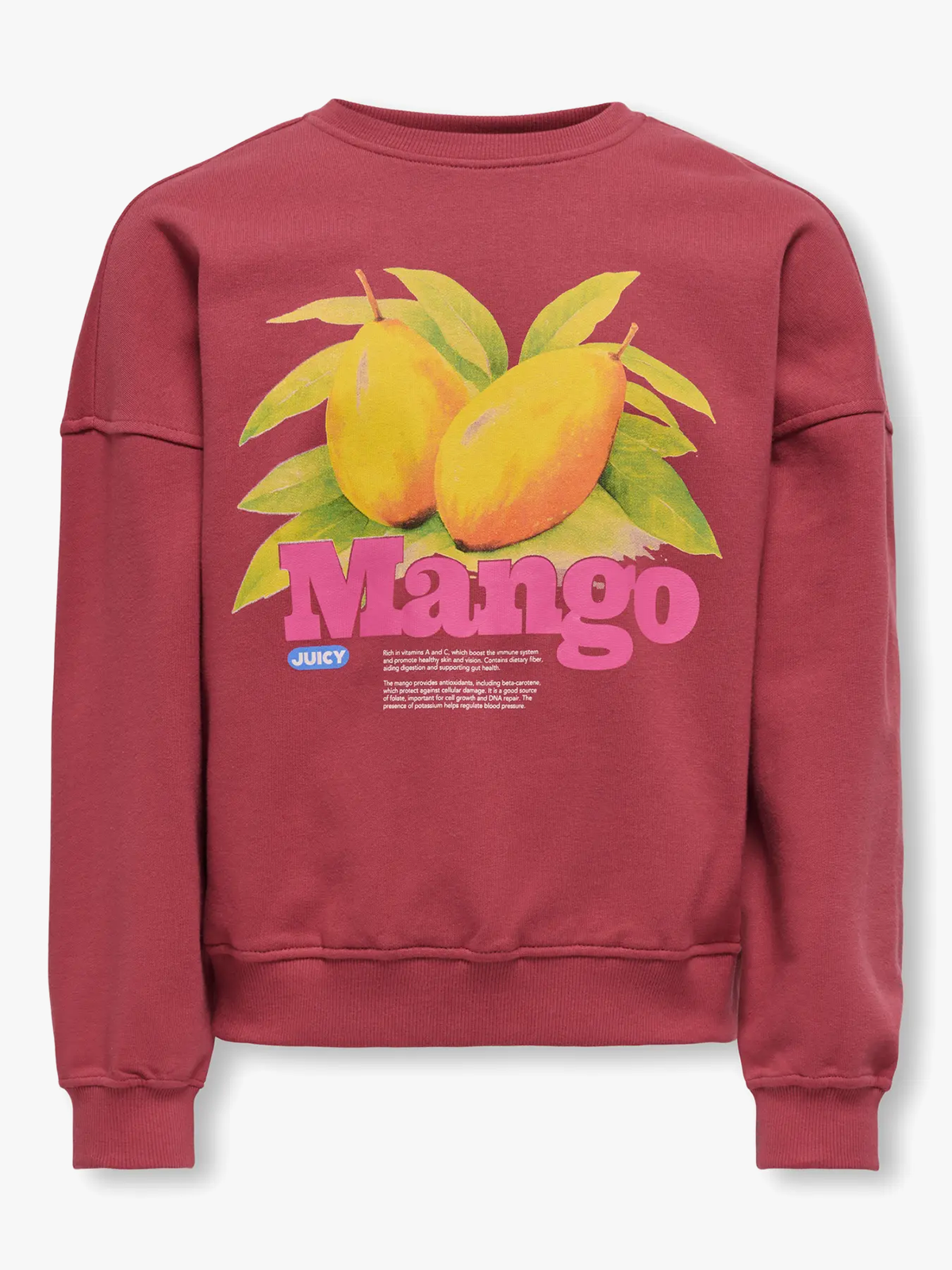 Kids Only Philea Life Long Sleeve Ovzfruit Oneck Ubrushed Sweat Earth Red Mango