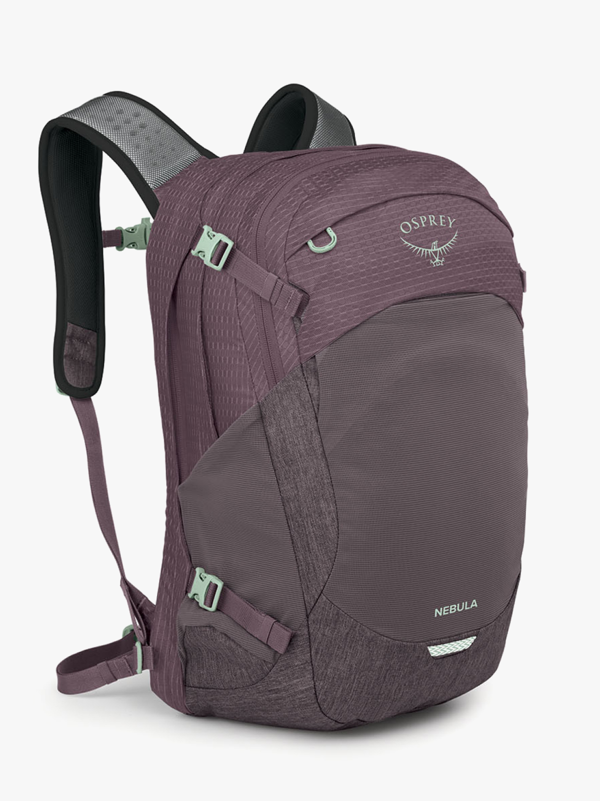 Osprey Nebula Graphite / Purple Heather