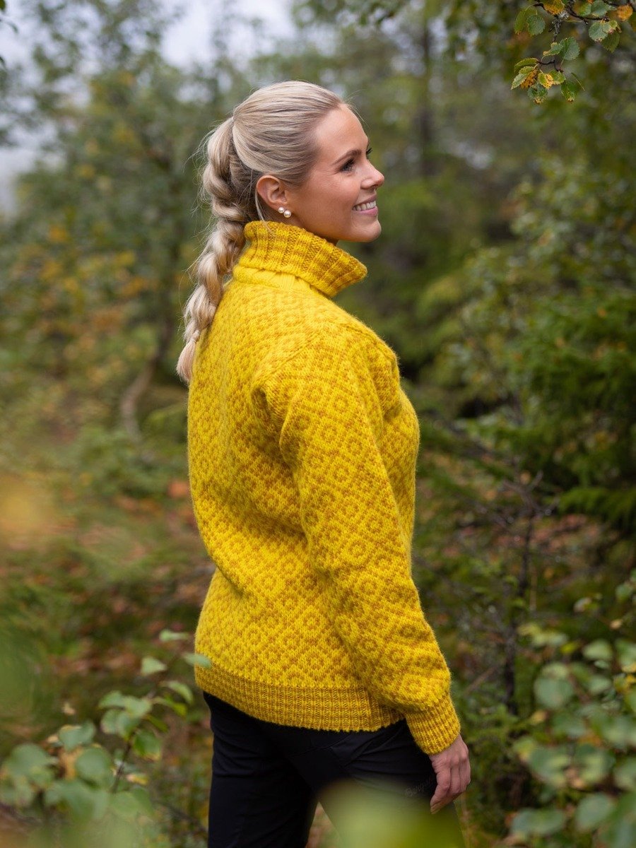 Devold Svalbard Sweater High Neck Cyber/ arrowwood