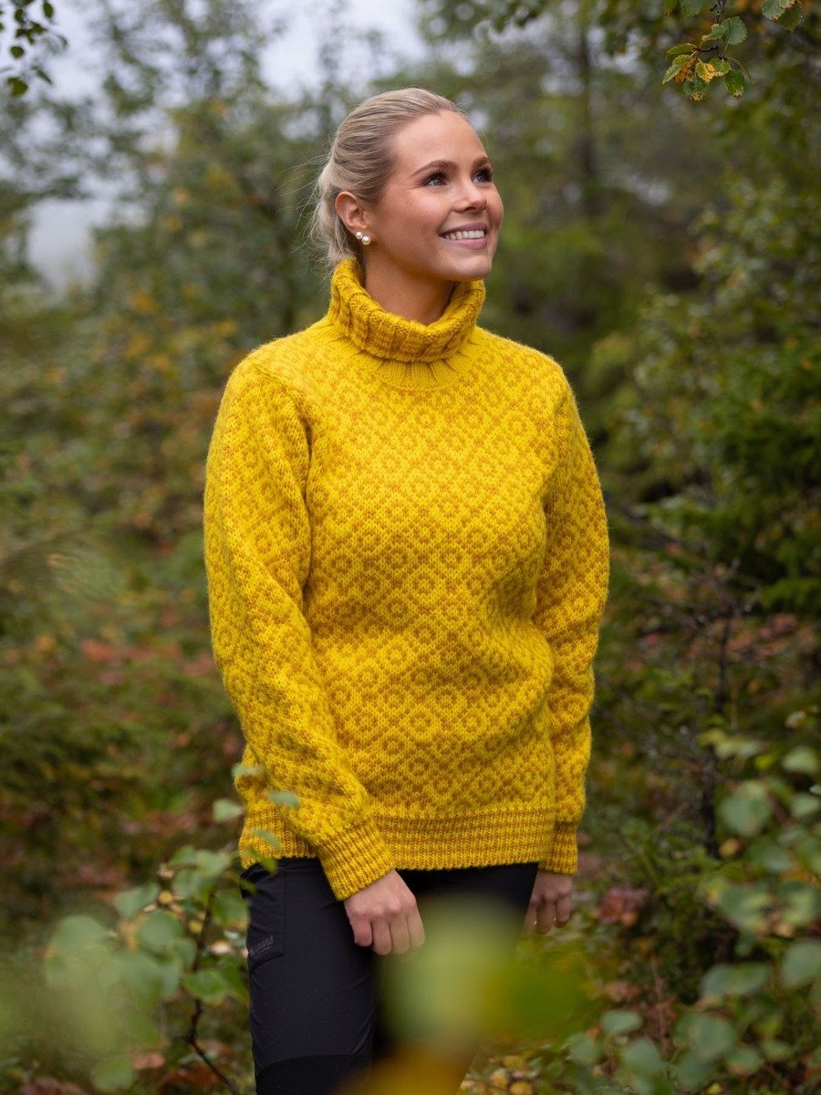 Devold Svalbard Sweater High Neck Cyber/ arrowwood