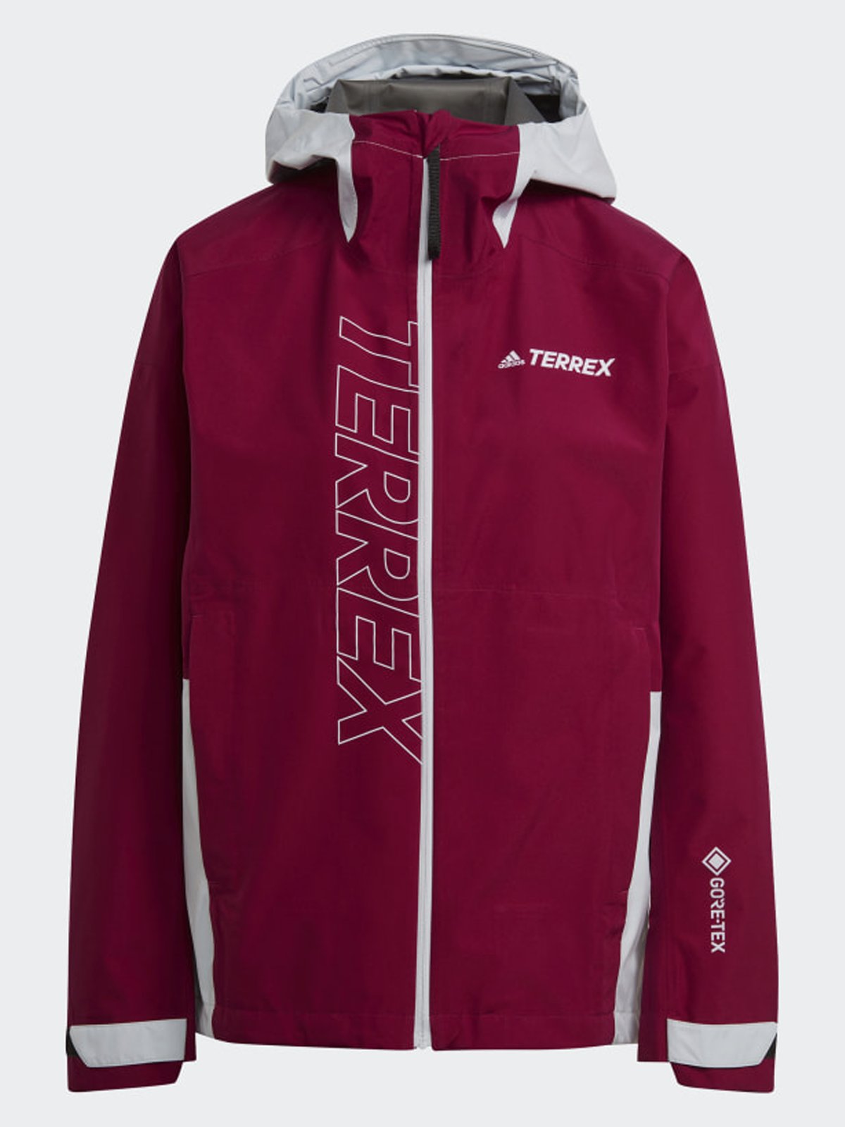 adidas Terrex Paclite GTX Power Berry / Halo Blue