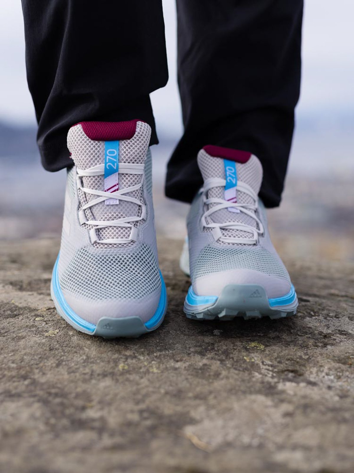 adidas Terrex Two GTX Dash Grey / Grey Two / Legacy Burgundy