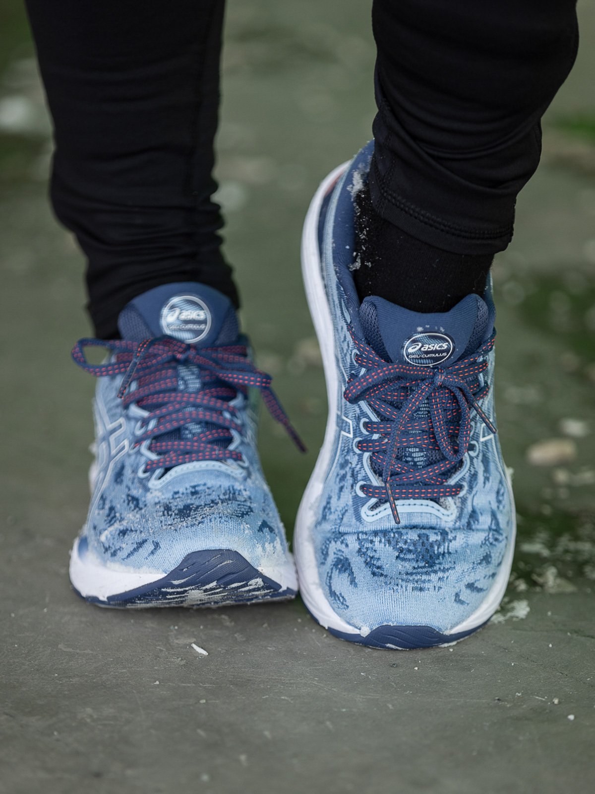 ASICS Gel-Cumulus 23 Mist/White