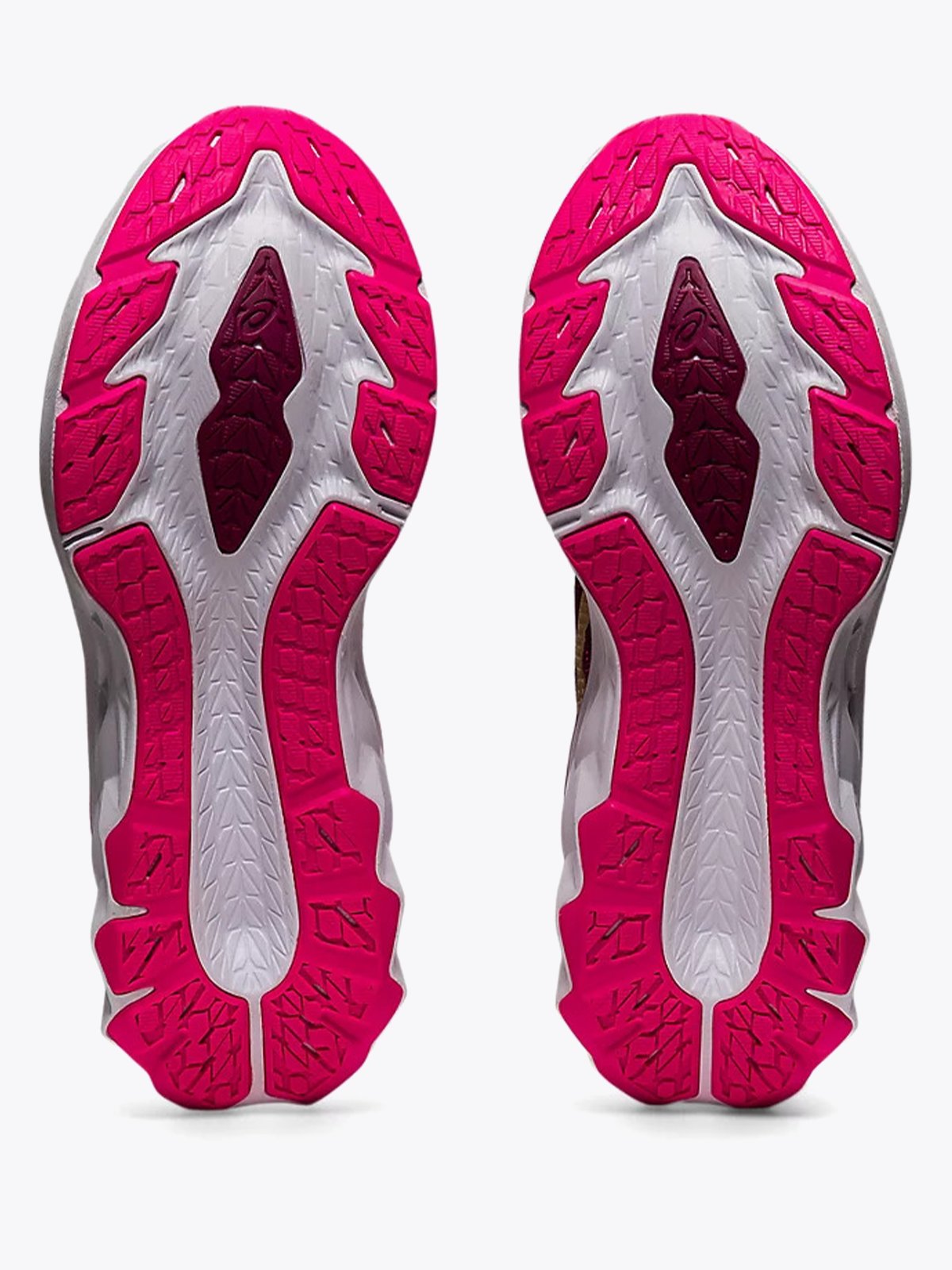 ASICS Novablast 2 Dried Berry/Champagne