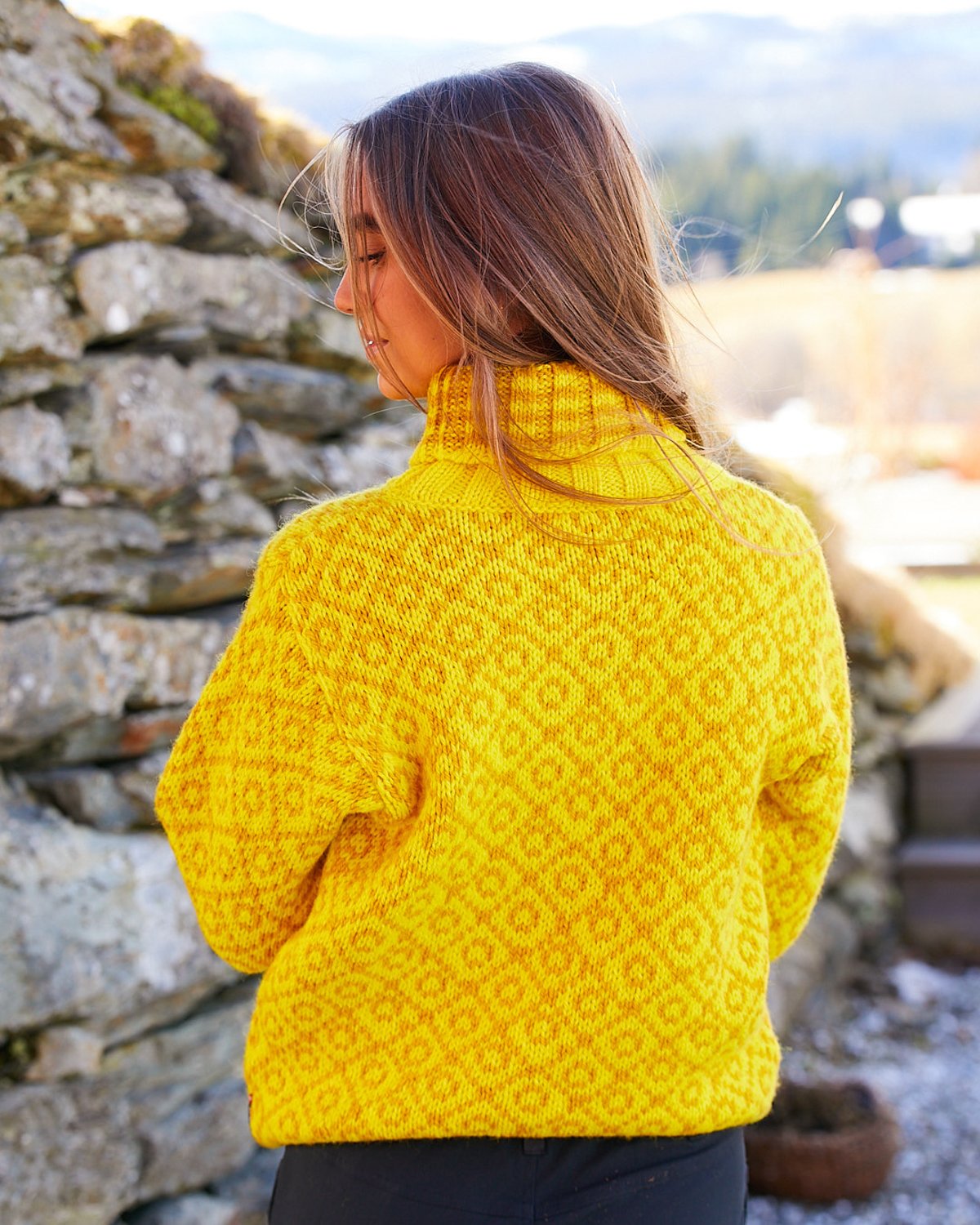 Devold Svalbard Sweater High Neck Cyber/ arrowwood