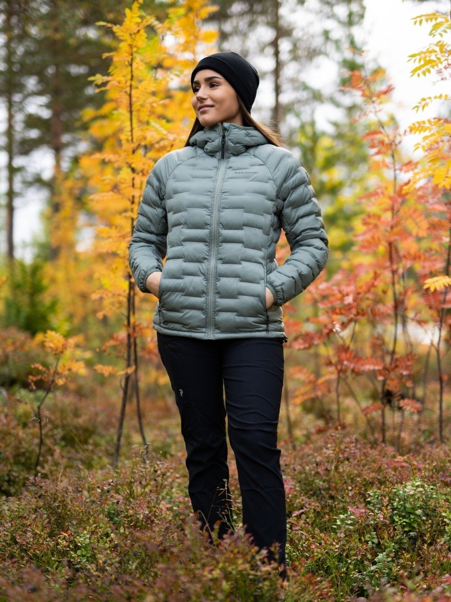 Peak Performance Argon Light Hood Jacket Fells View