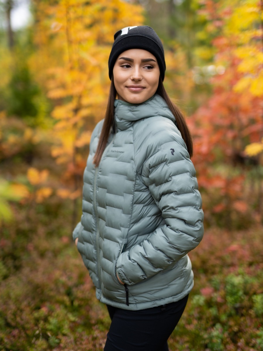 Peak Performance Argon Light Hood Jacket Fells View