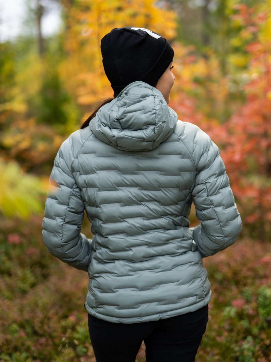 Peak Performance Argon Light Hood Jacket Fells View