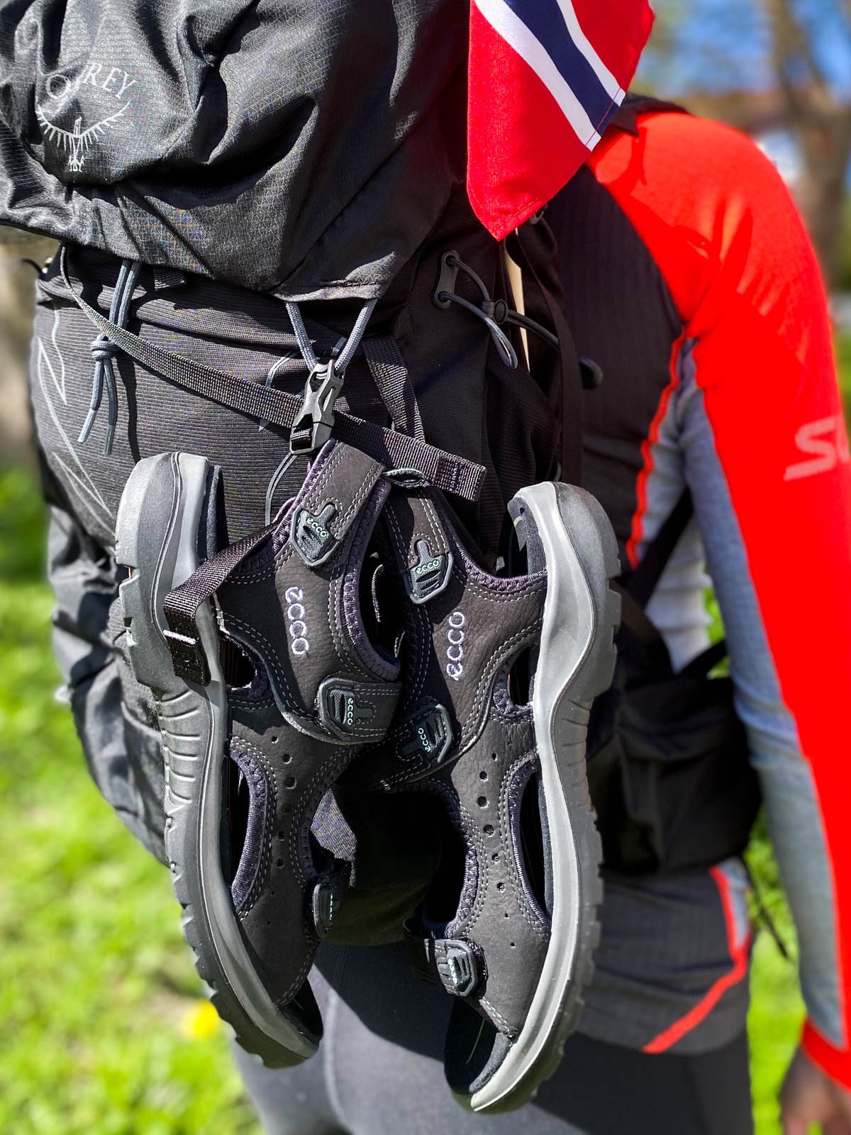 ECCO Ecco Andes II Sandal Black