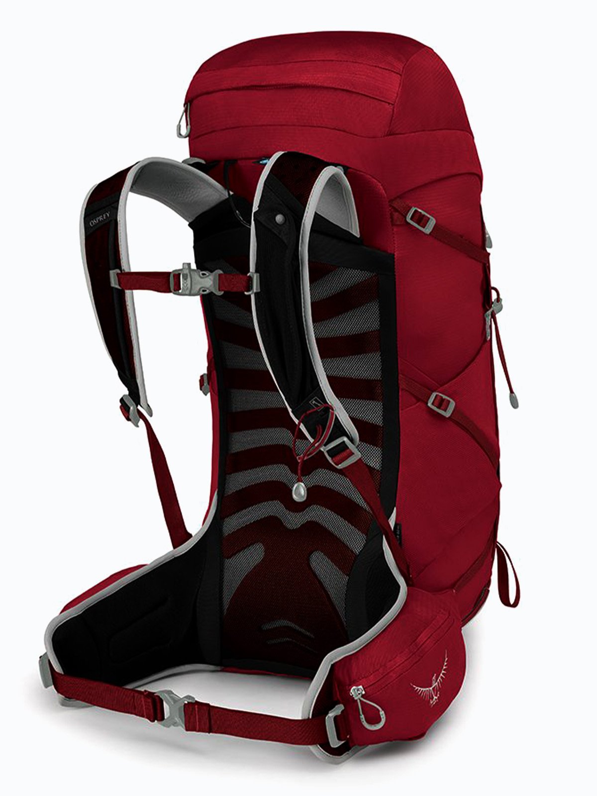Osprey Talon 33L Cosmic Red