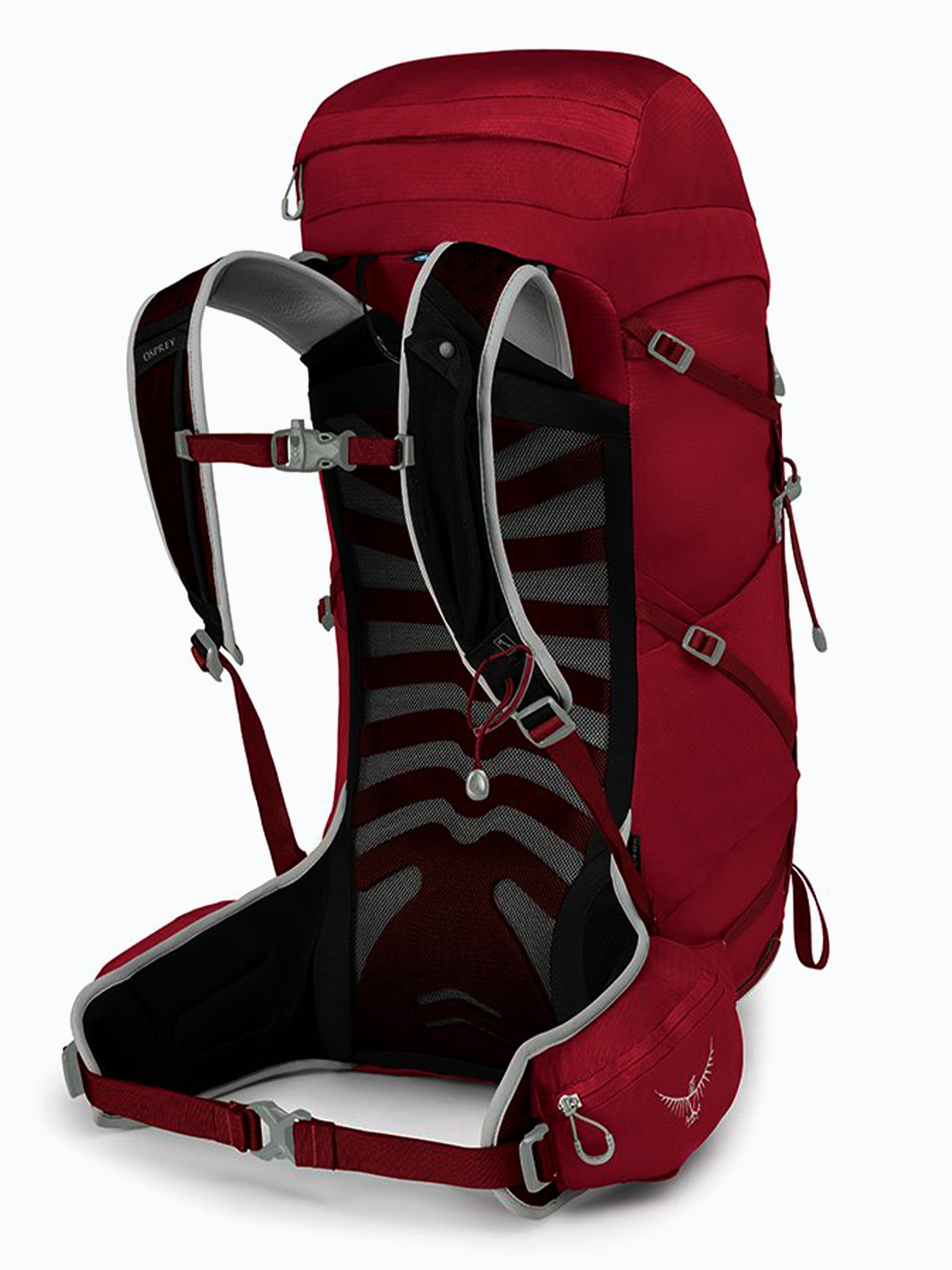 Osprey Talon 33L Cosmic Red