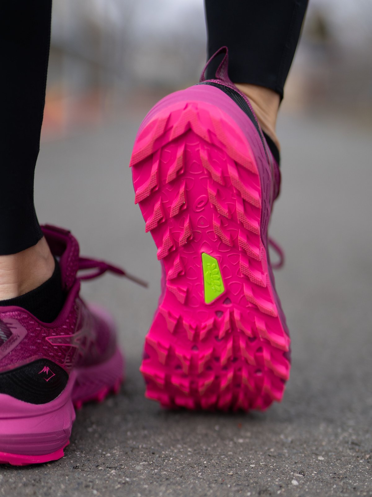 ASICS Gel-Trabuco 10 Dried Berry/Fuchsia Red
