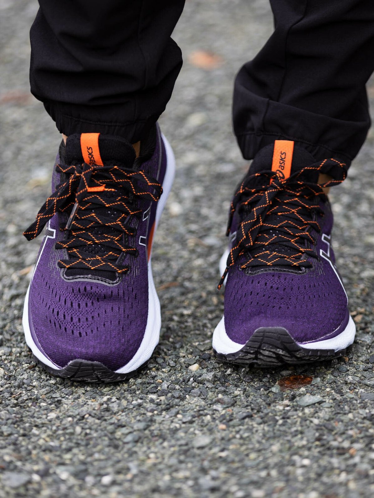 ASICS Gel-Nimbus 24 TR Nature Bathing/Night Shade