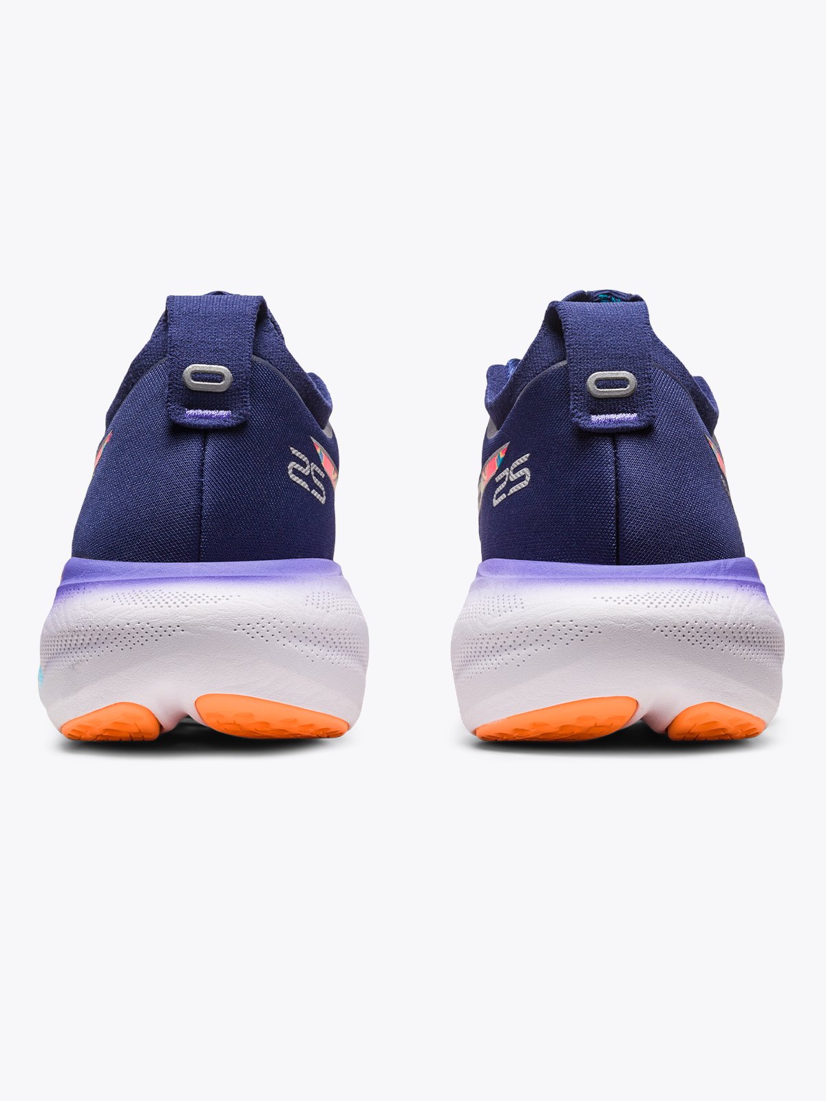 ASICS Gel-Nimbus 25 Lite-Show Flerfarget