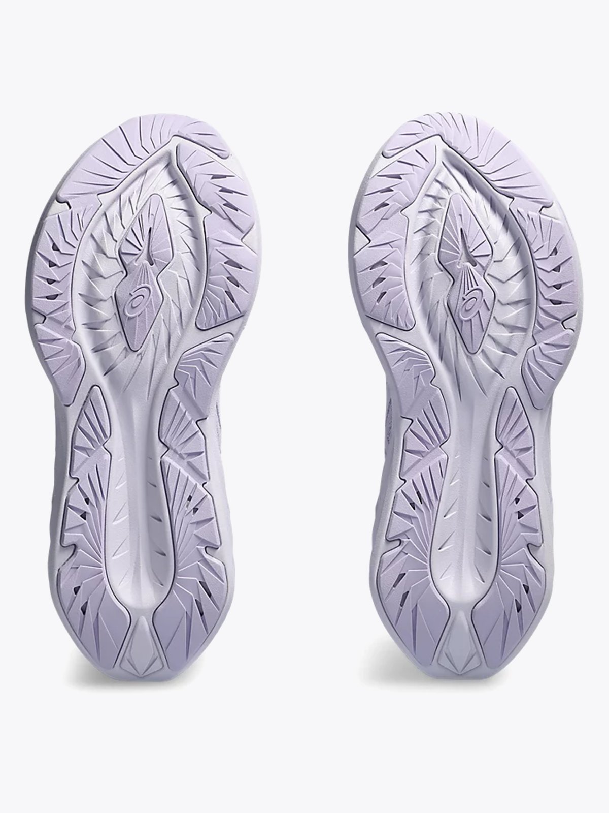 ASICS Novablast 4 Lilac Hint / Faded Ash Rock