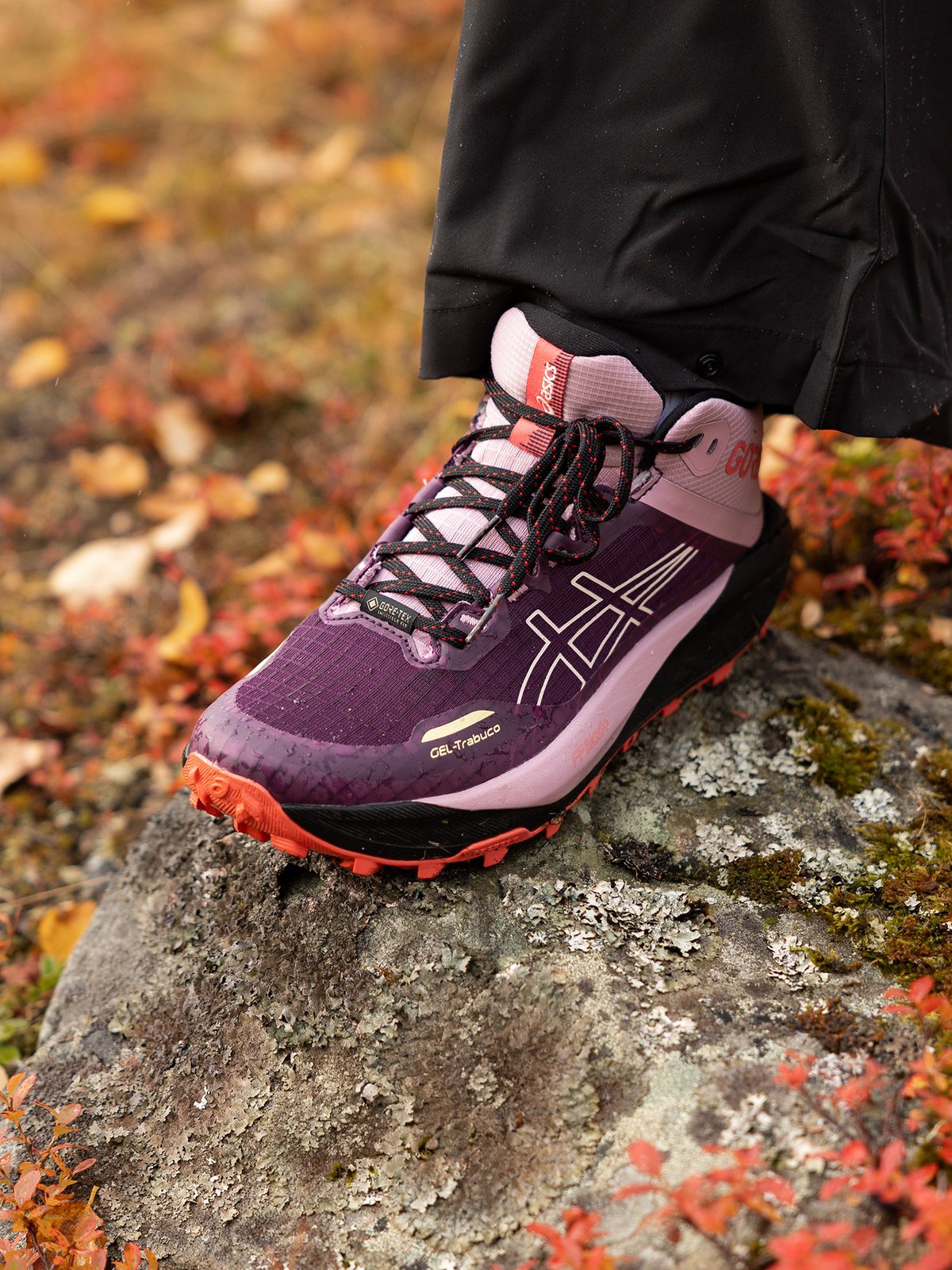 ASICS Gel-Trabuco MT GTX Dark Aubergine/Taro Purple