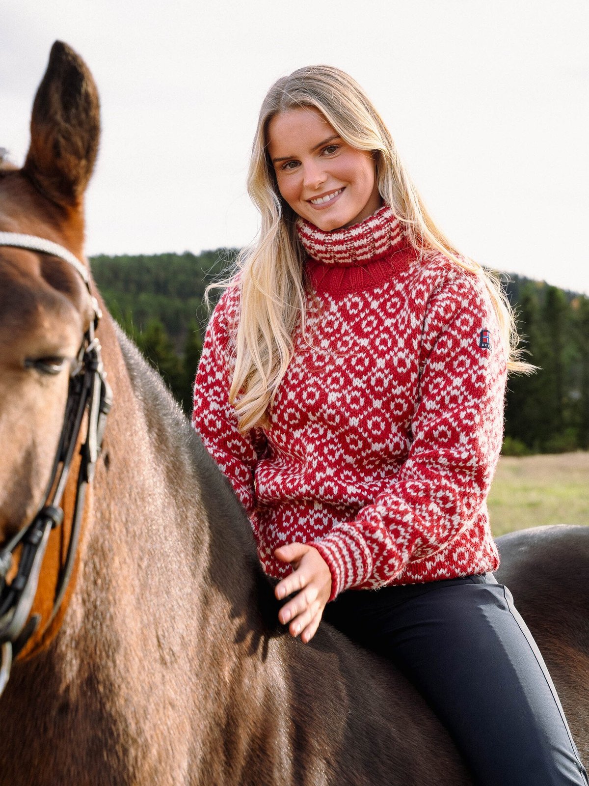 Devold Svalbard Sweater High Neck Hindberry / Offwhite