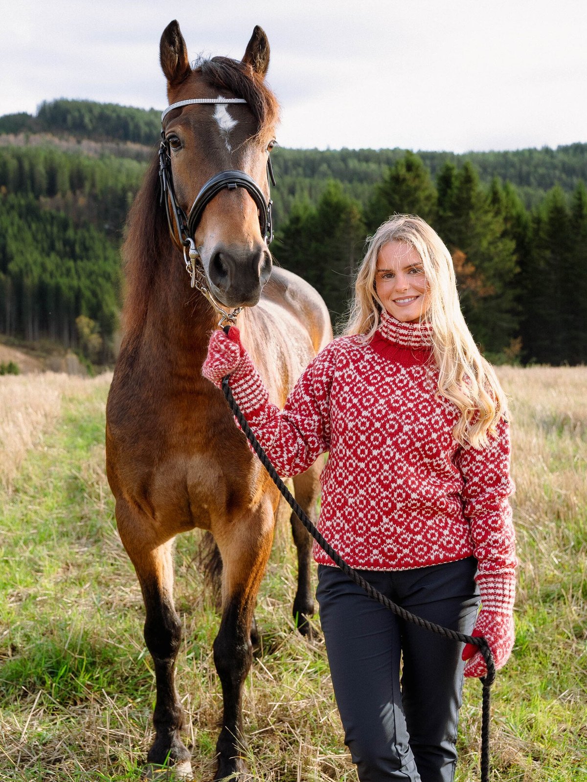 Devold Svalbard Sweater High Neck Hindberry / Offwhite