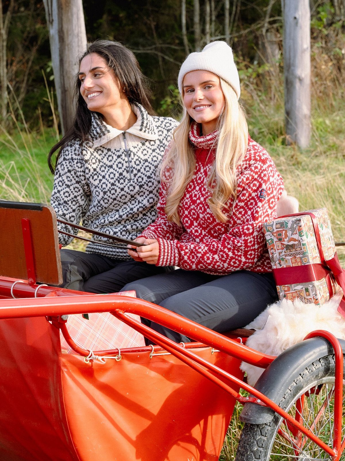 Devold Svalbard Sweater High Neck Hindberry / Offwhite