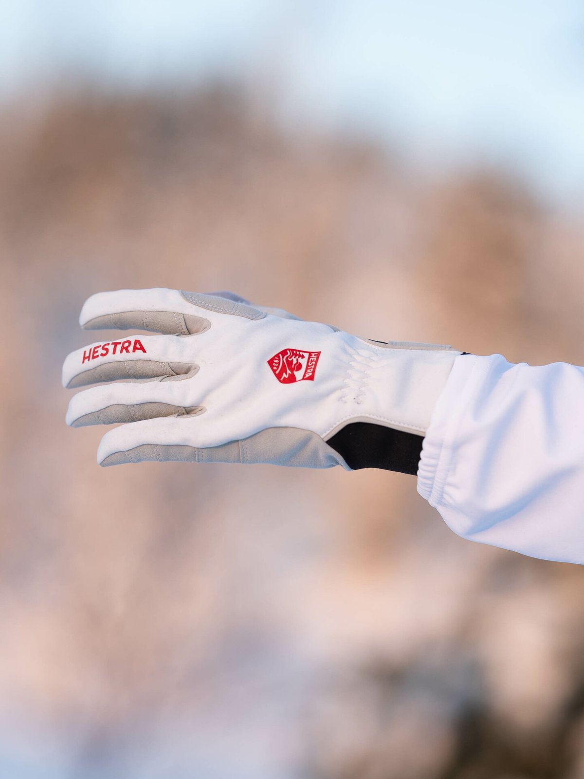 Hestra Women's XC Ergo Grip Offwhite