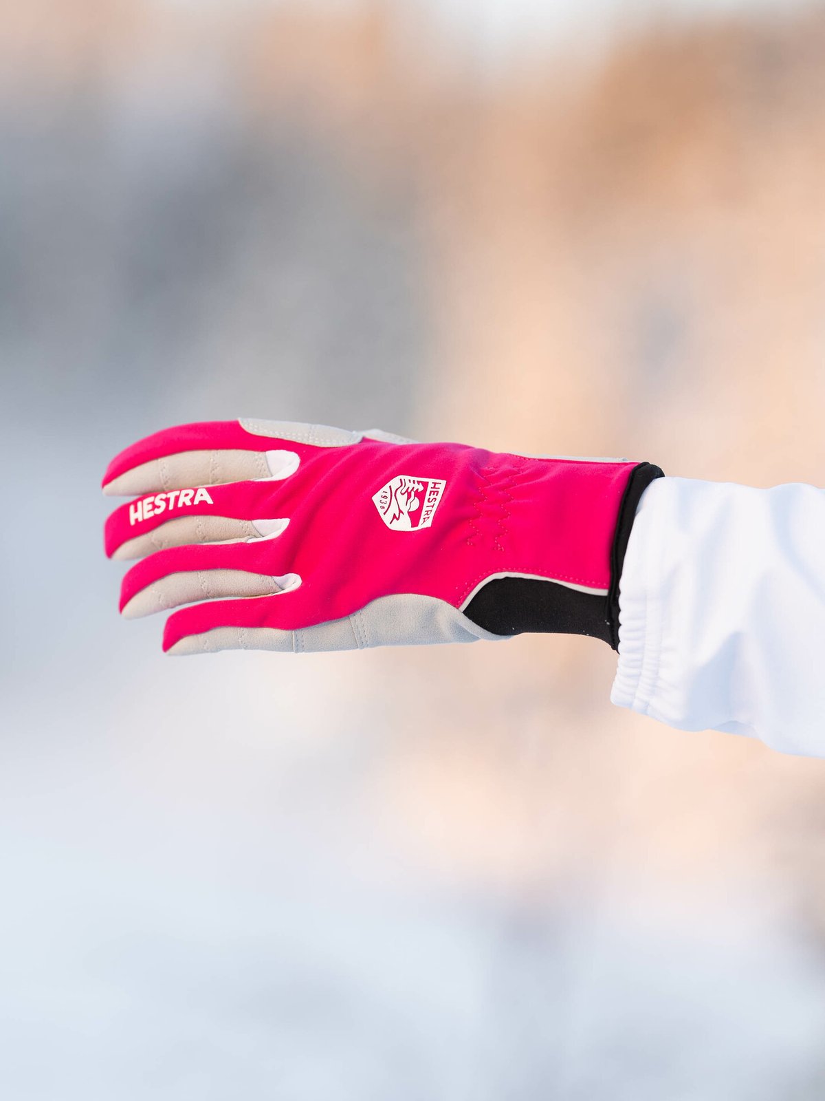 Hestra Women's XC Ergo Grip Fuchsia