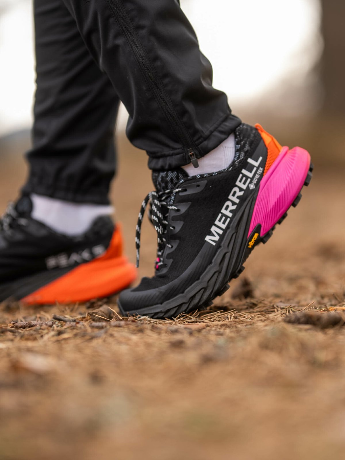 Merrell Agility Peak 5 GTX Black / Multi