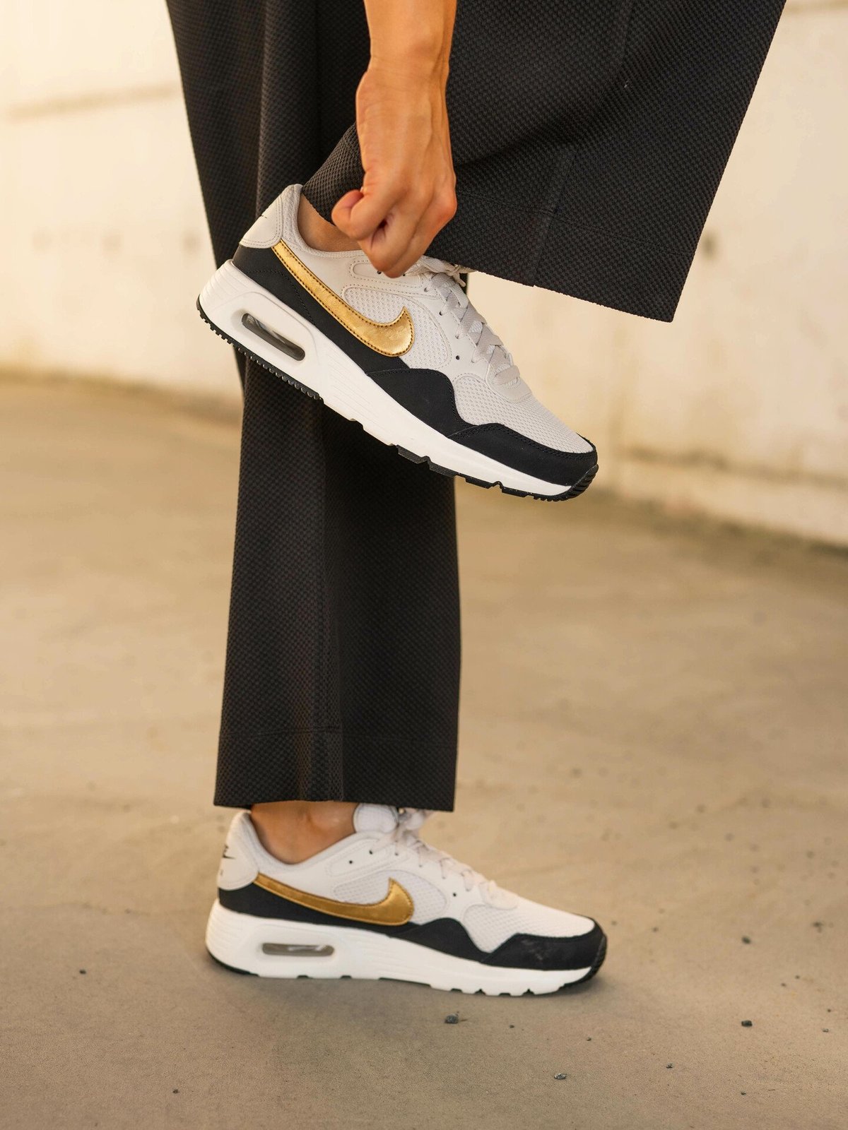 Nike Air Max SC SE Phantom/Svart/Sail/Metallic Gold