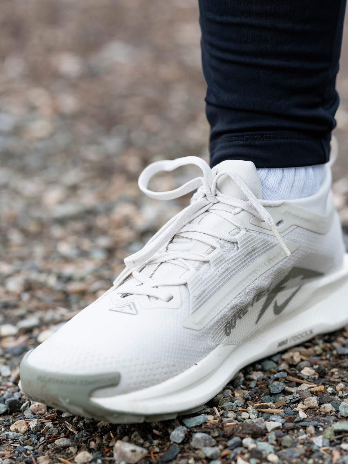 Nike Pegasus Trail 5 GTX Light Bone / Sail / Light Army