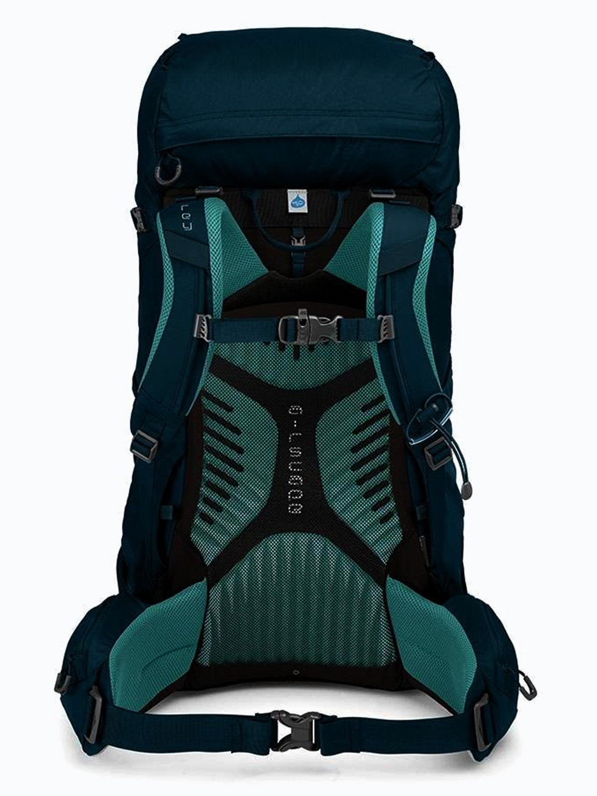 Osprey Kyte 46L Icelake Green