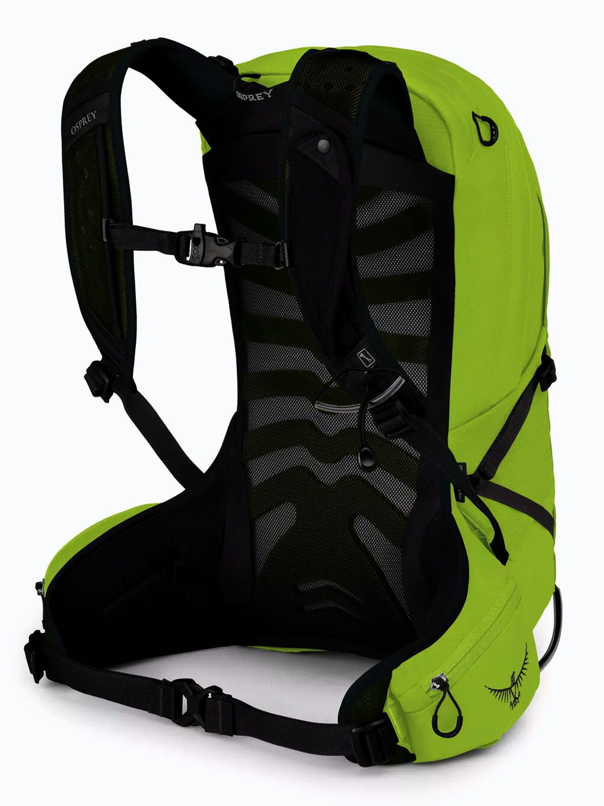 Osprey Talon 11L Limon Green