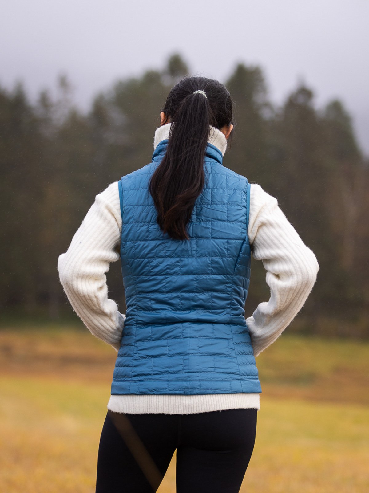 Patagonia Nano Puff Vest Wavy Blue