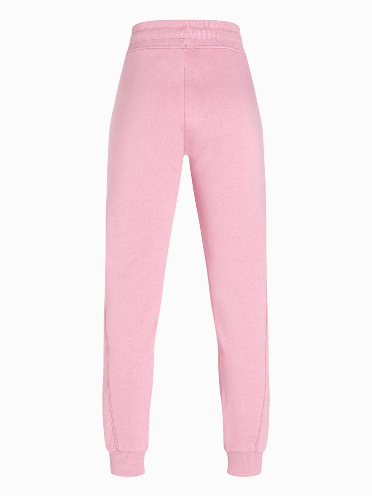 Peak Performance Ground Pants Bitter Root