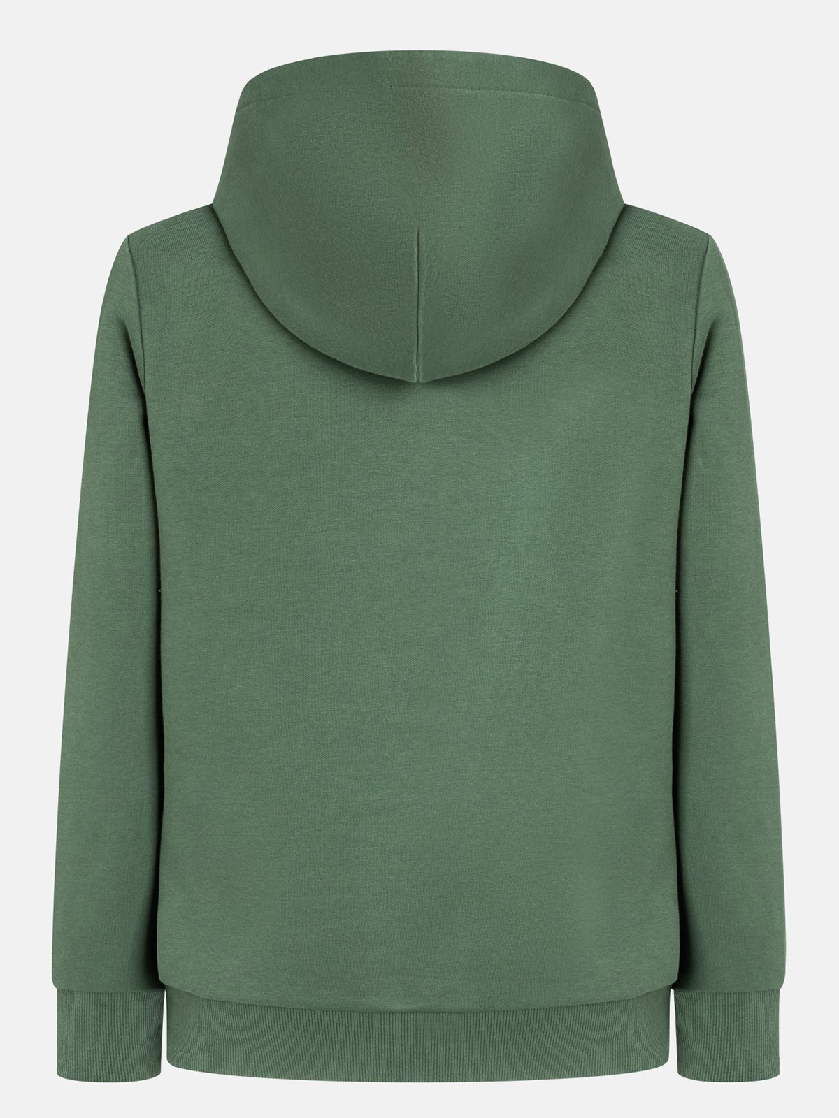 Peak Performance Logo Hood Sweatshirt Grønn