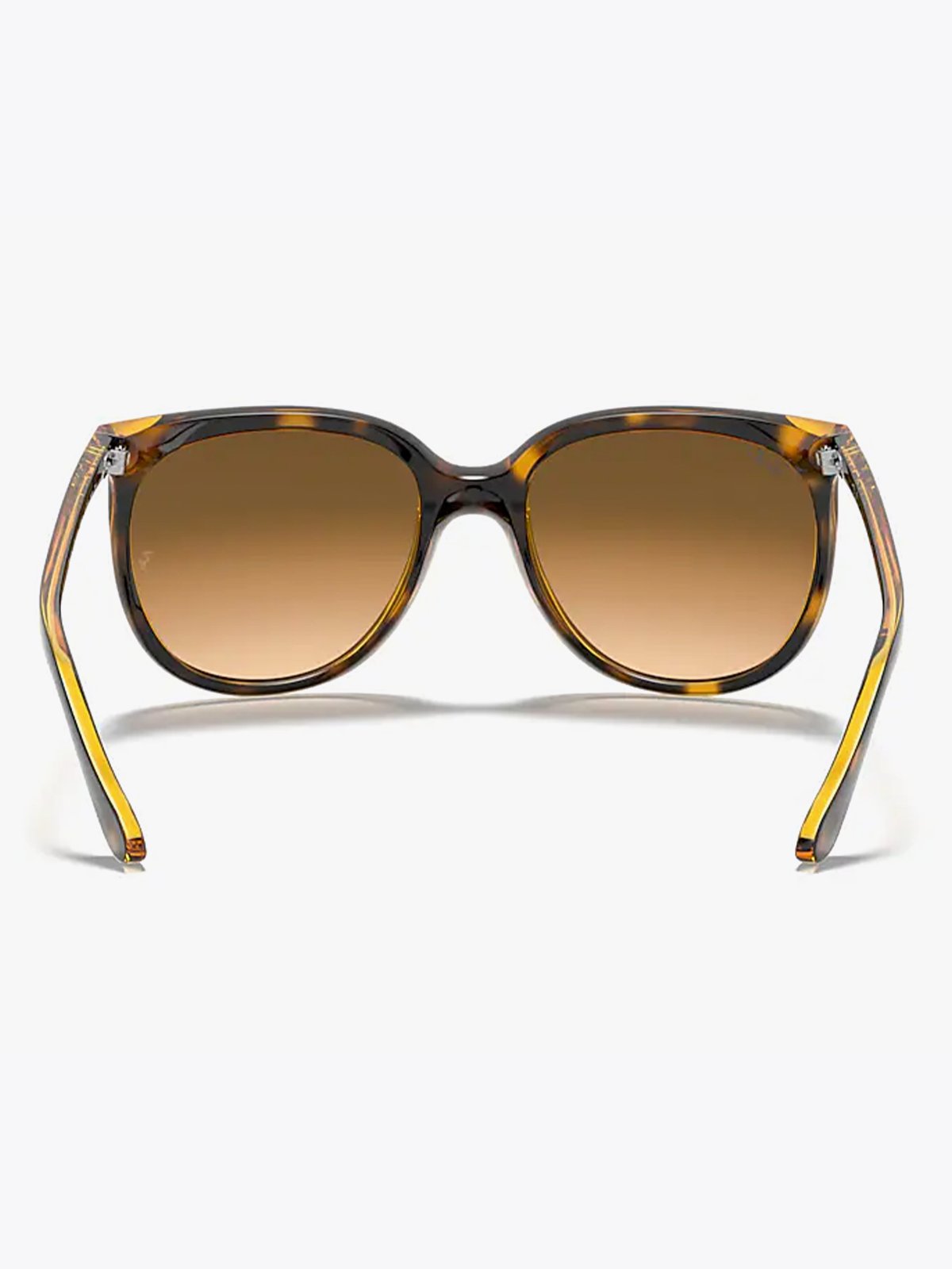 Ray-Ban Cats 1000 Innfatning: Polished Light Havana. Glass: Light Brown