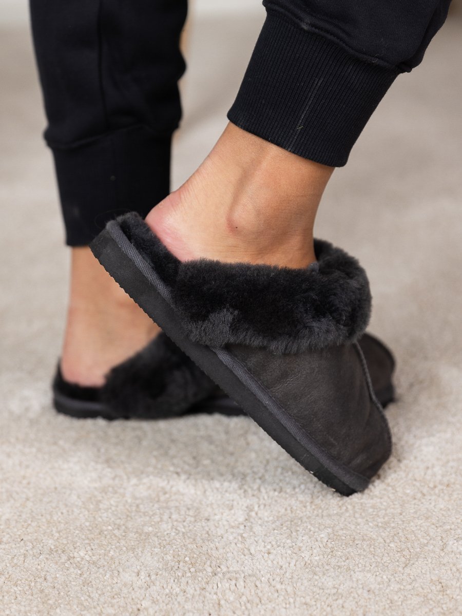 Shepherd Jessica Asphalt