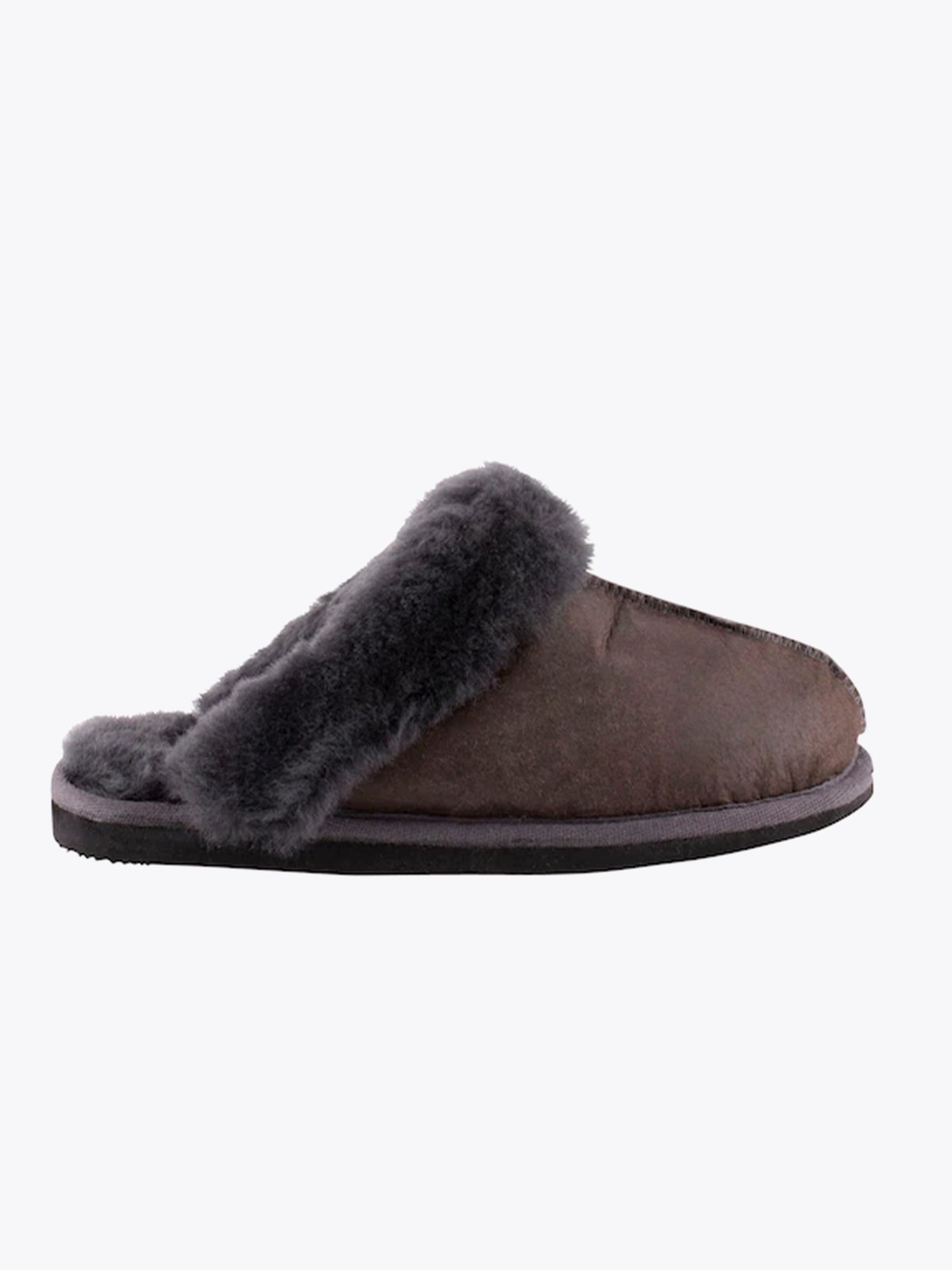 Shepherd Jessica Asphalt