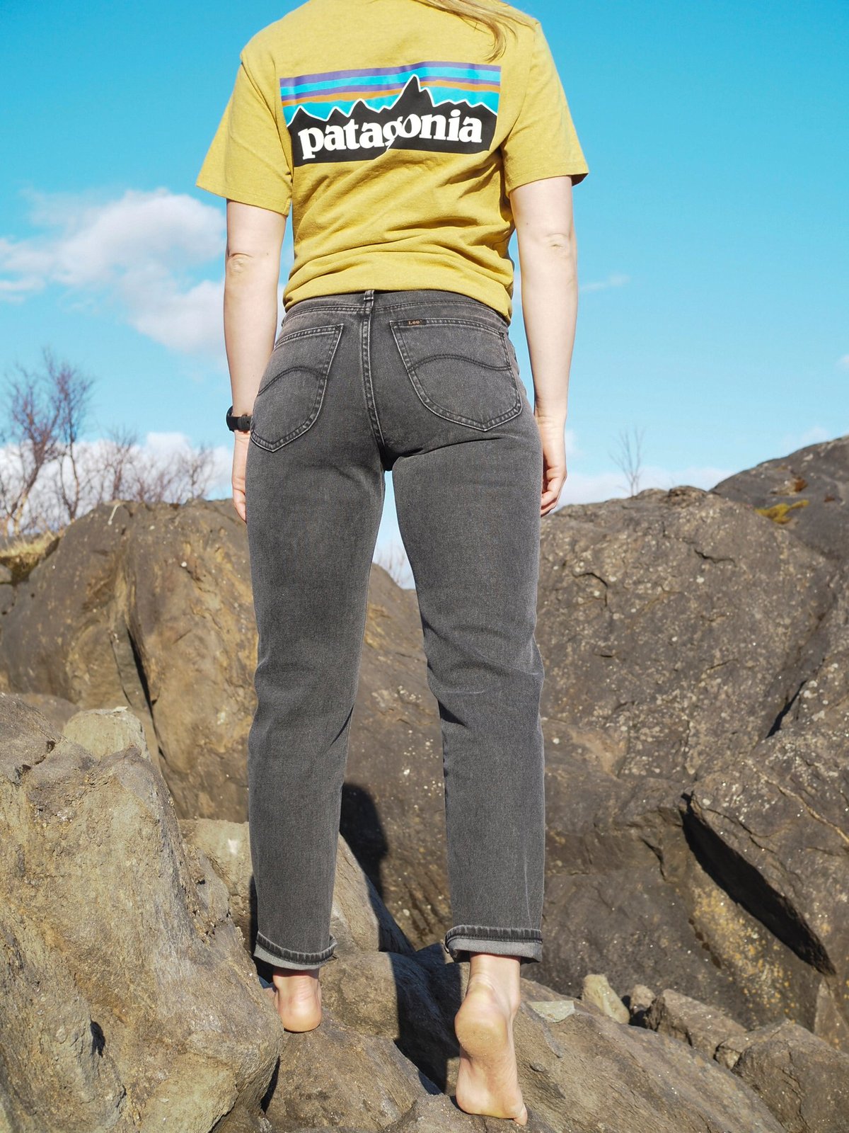 Lee Carol Straight Visual Ashton