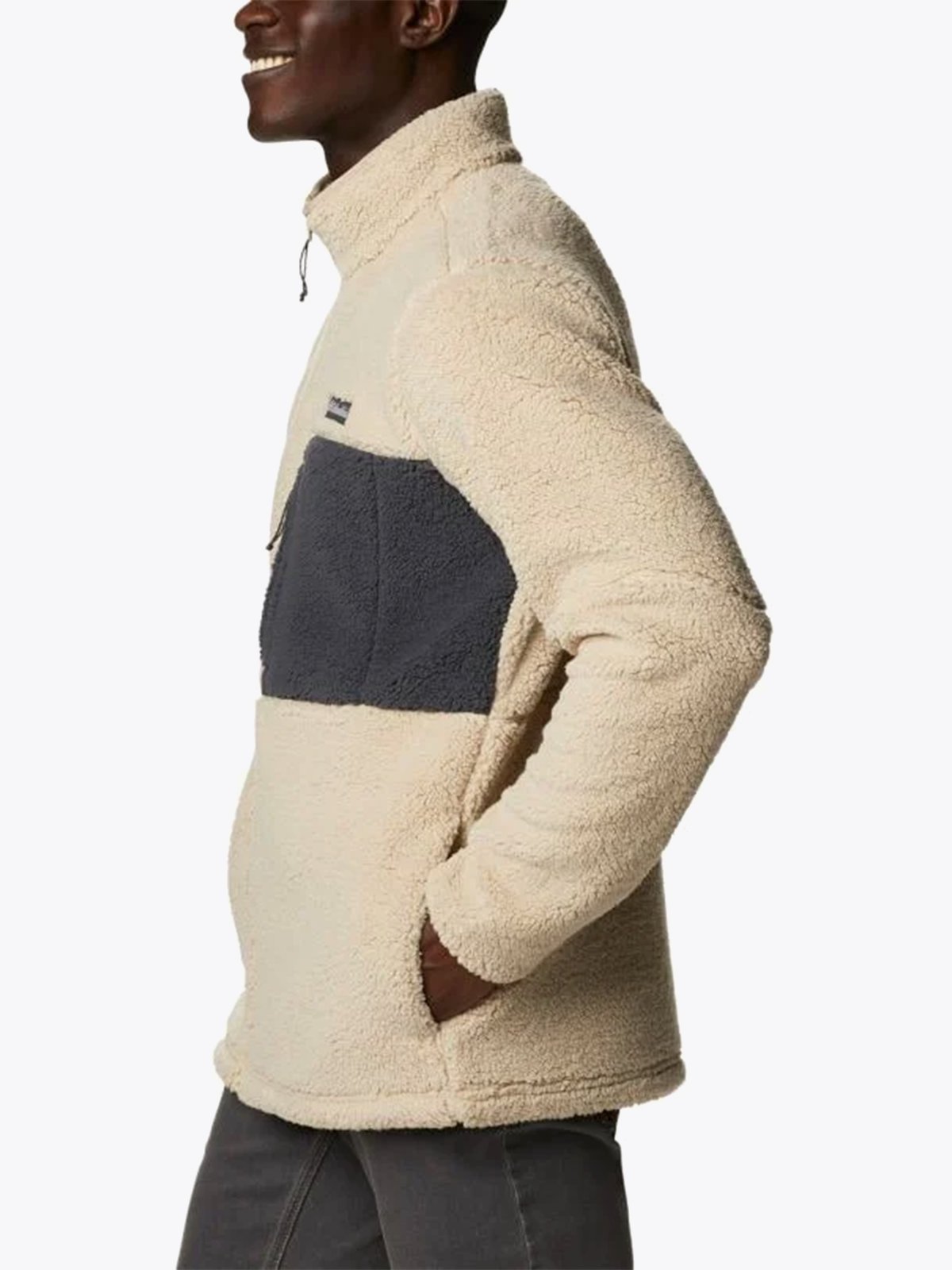 Columbia Mountainside Heavyweight Ancient Fossil, Shark