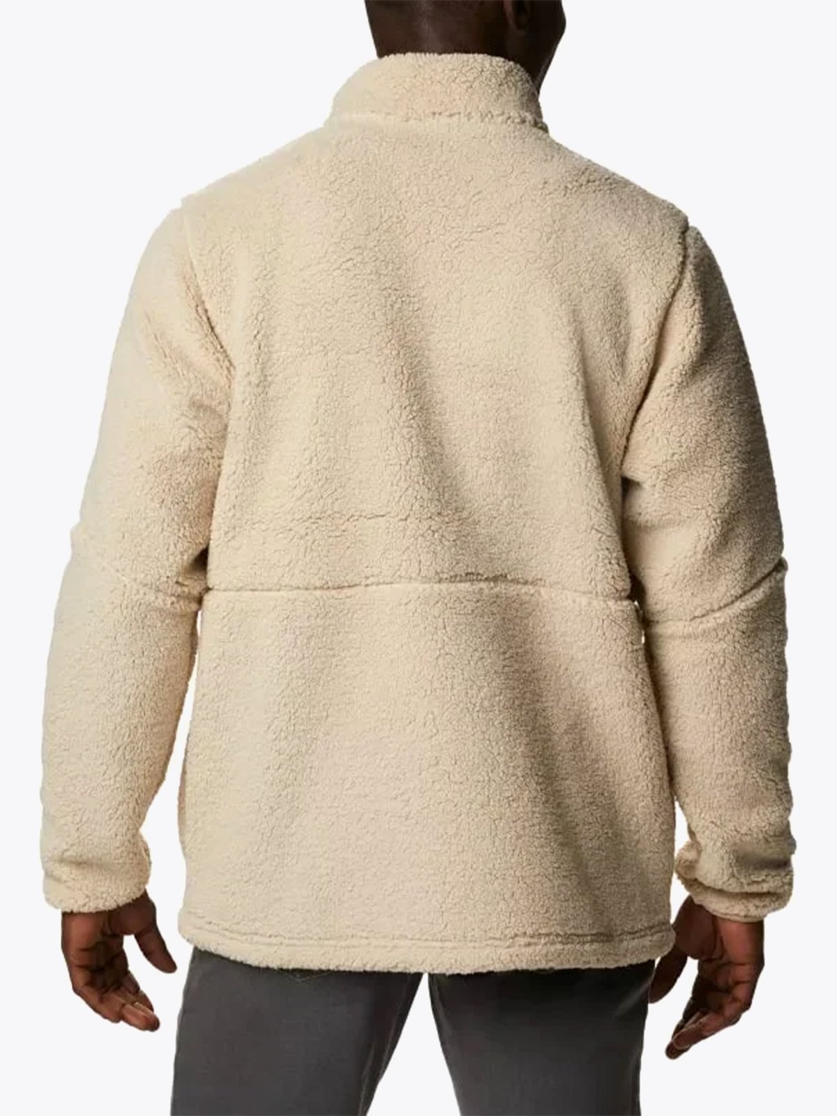 Columbia Mountainside Heavyweight Ancient Fossil, Shark