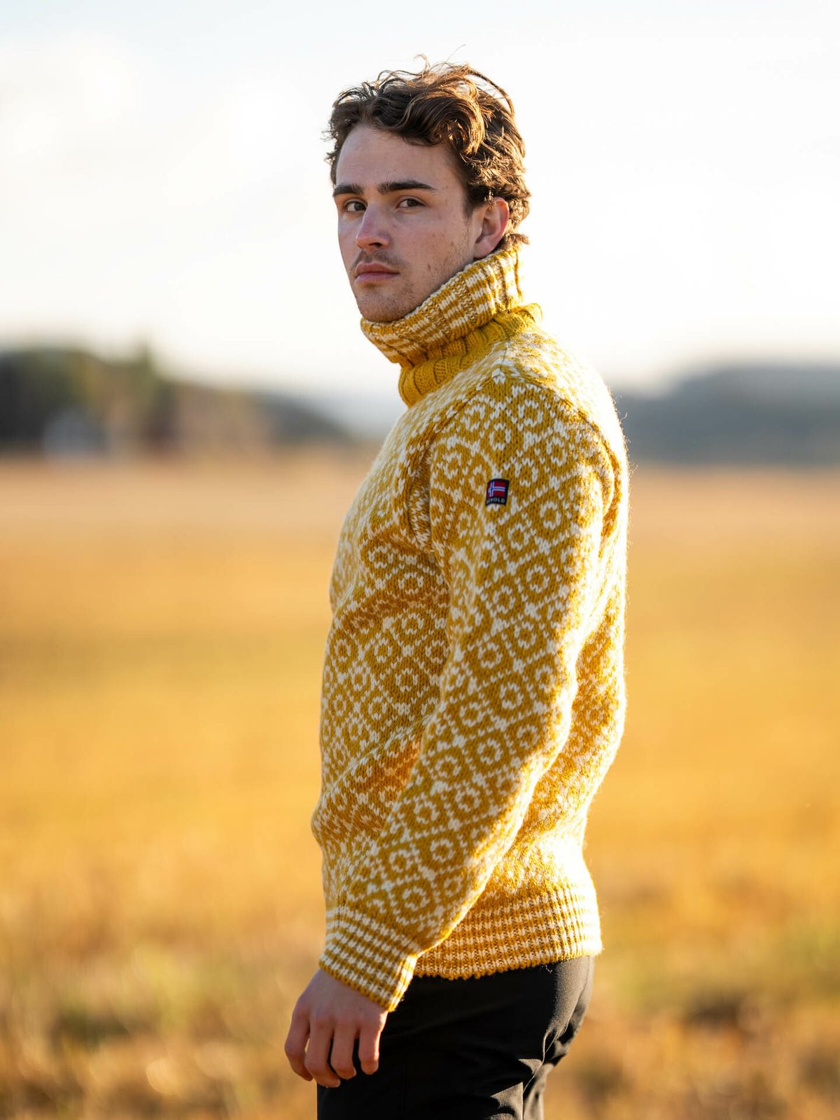 Devold Svalbard Sweater High Neck Gul