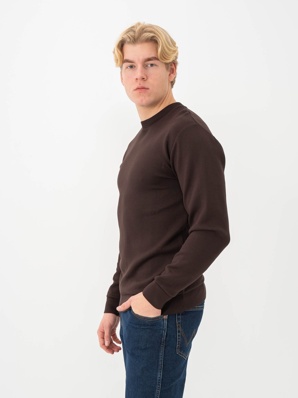 Selected Homme Emanuel Soft Crew Neck Sweat Chocolate Torte