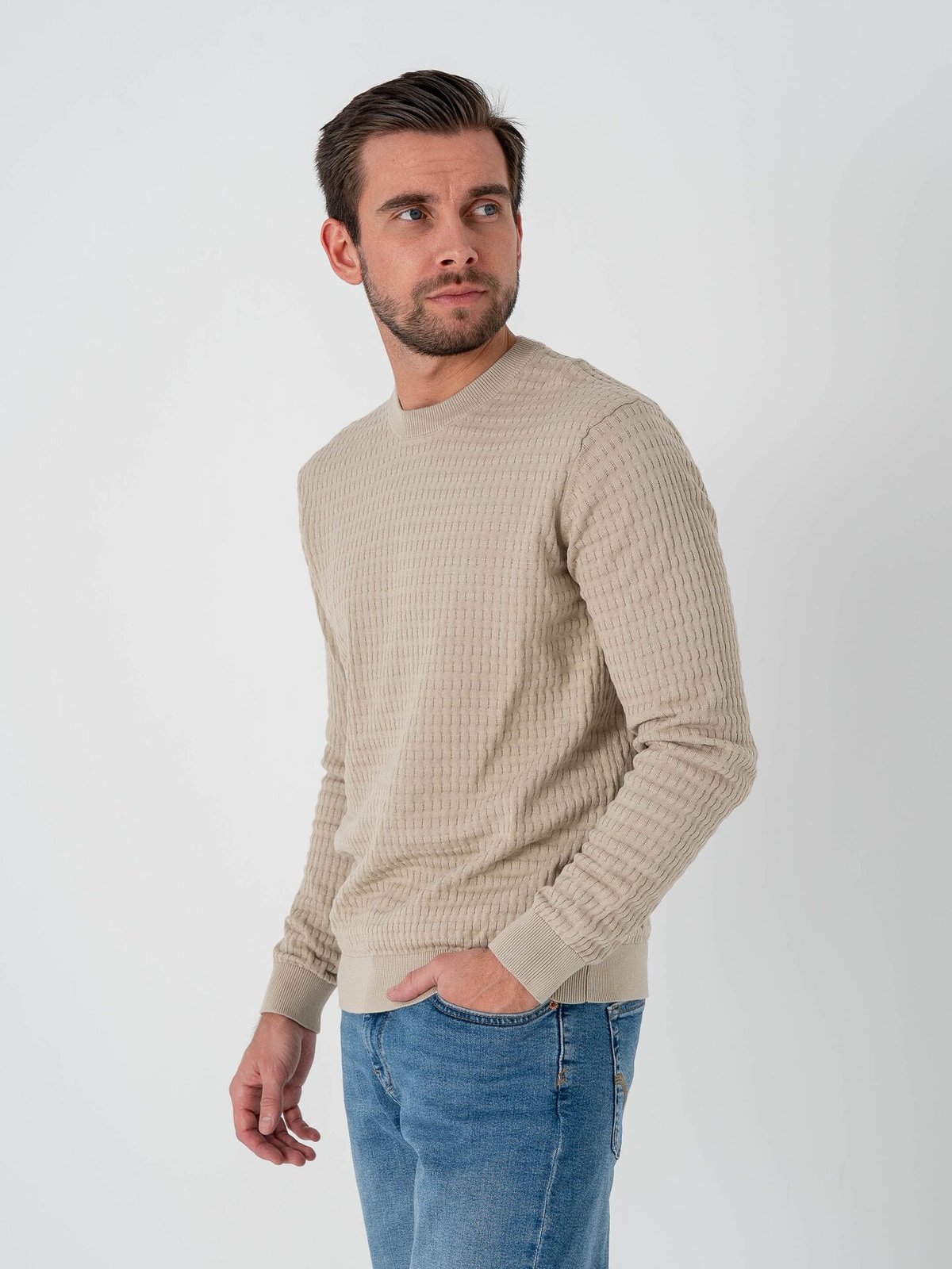 Only & Sons Berry Regular Long Sleeve Crew Knit Silver Lining