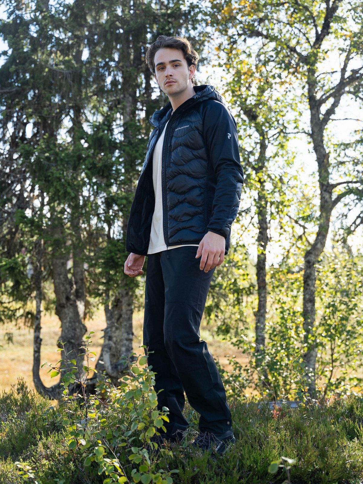 Peak Performance Helium Down Hybrid Hood Men BLACK