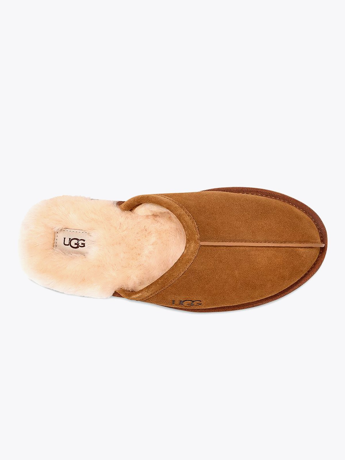 UGG Scuff Chestnut