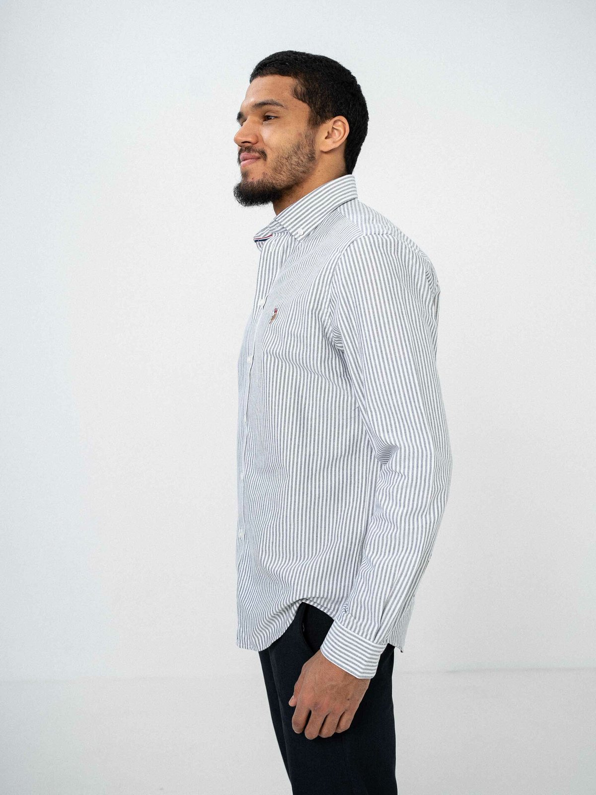 U.S. Polo Assn. Armin Oxford Regular Shirt Dark Sapphire Striped