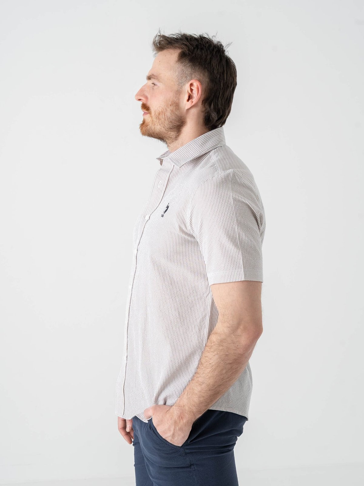 U.S. Polo Assn. Charli Regular Short Sleeve Shirt Crockery Striped