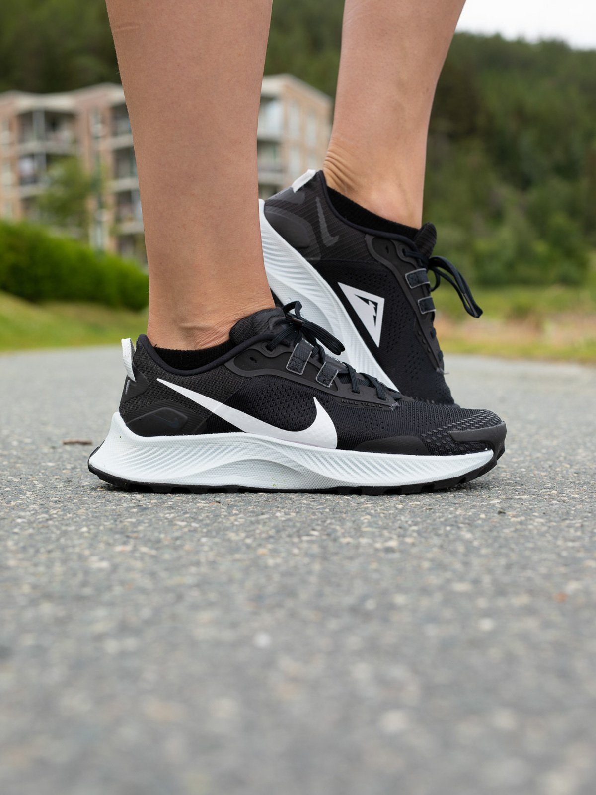 Nike Pegasus Trail 3 Black / Pure platinum - smoke grey